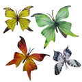 Borboleta Decorativa 10 unid. Ref. 6208 Cores:Verde/Azul